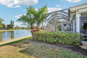 Star Tulip Ct-S2401-045.jpg