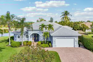 Star Tulip Ct-S2401-047.jpg