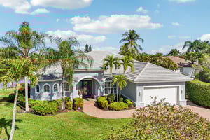 Star Tulip Ct-S2401-048.jpg