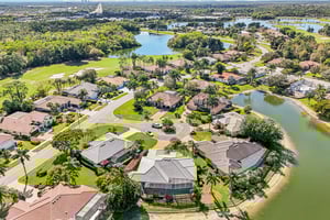 Star Tulip Ct-S2401-053.jpg