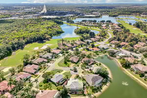 Star Tulip Ct-S2401-054.jpg