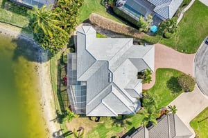 Star Tulip Ct-S2401-056.jpg