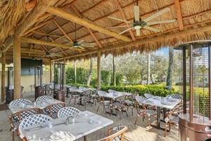 Star Tulip Ct-2401-905.jpg