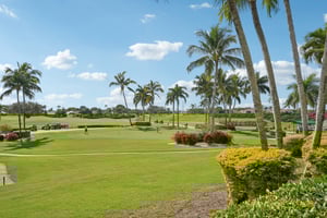 Star Tulip Ct-2401-907.jpg