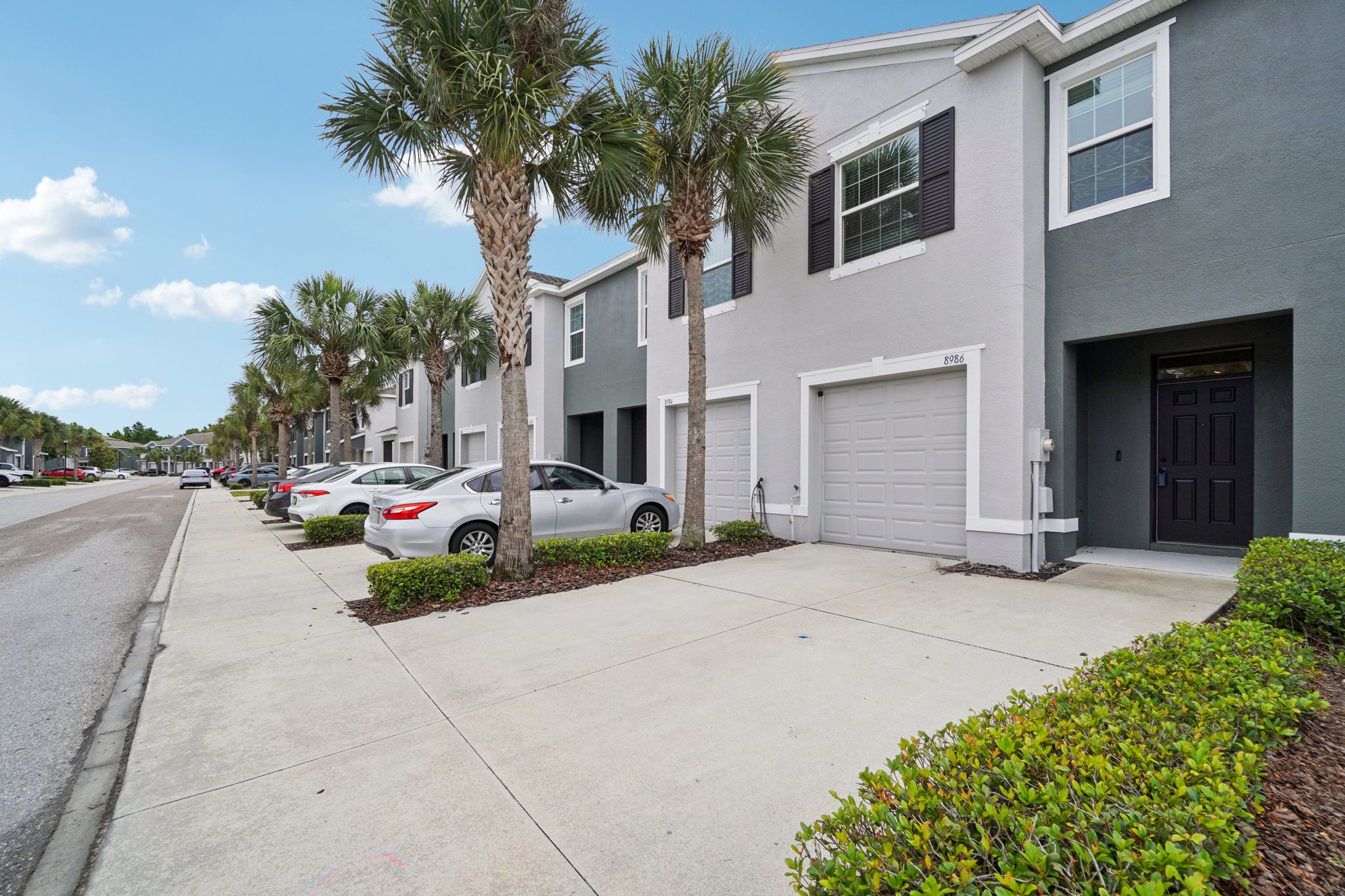 Indigo Trl Lp-S0804-003.jpg