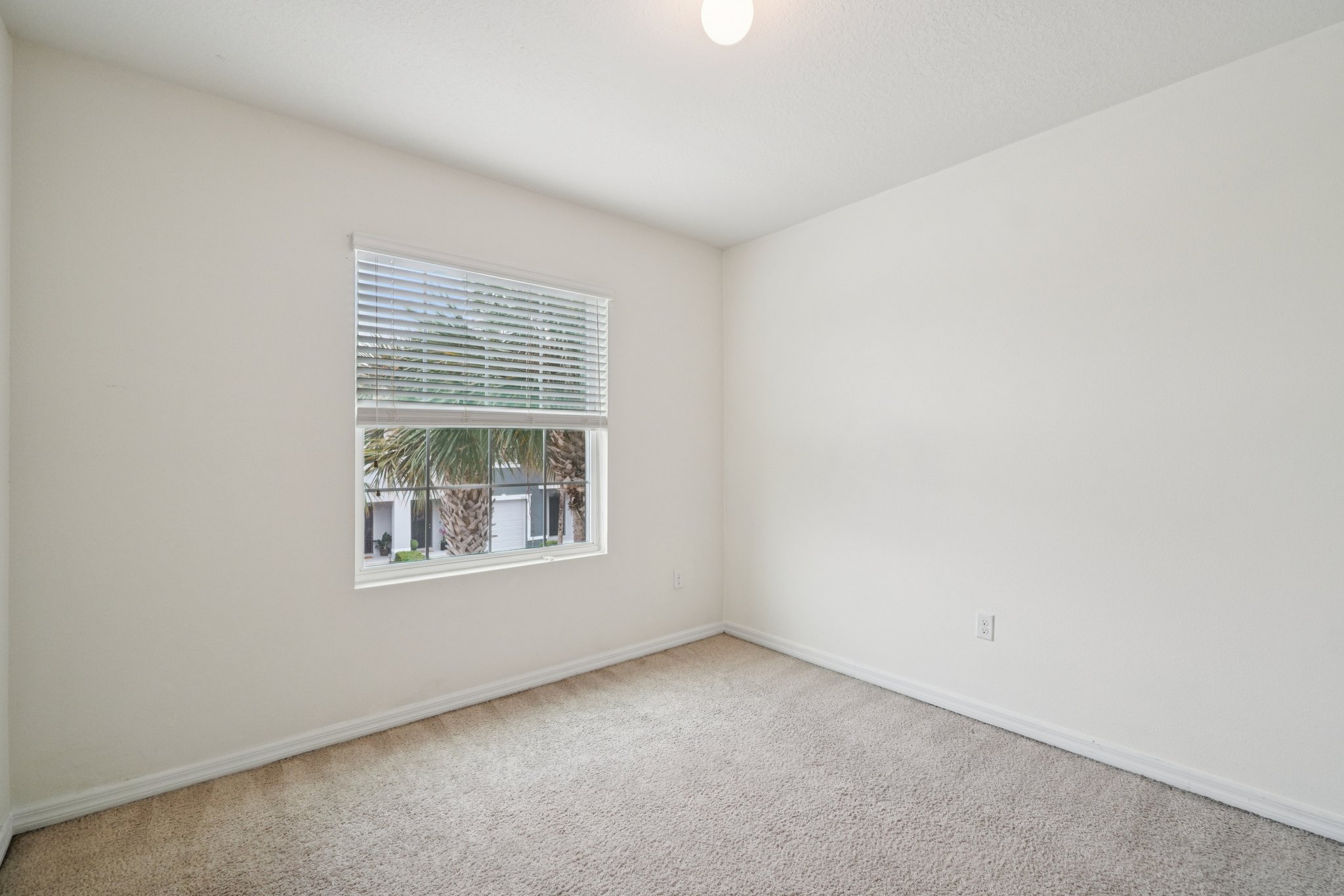 Indigo Trl Lp-S0804-028.jpg