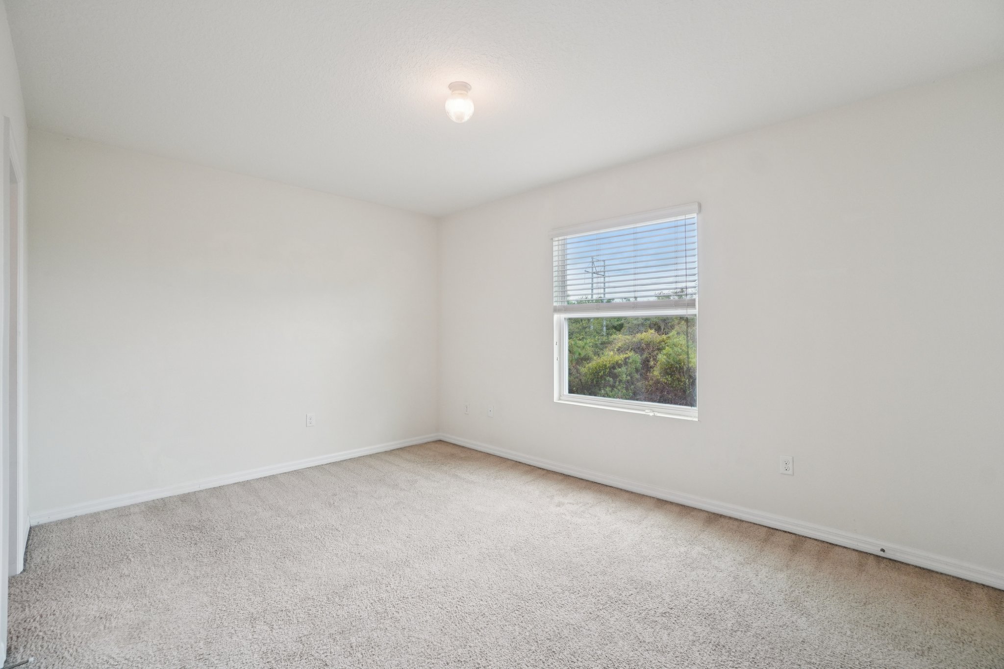 Indigo Trl Lp-S0804-031.jpg