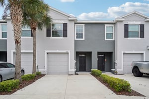 Indigo Trl Lp-S0804-004.jpg