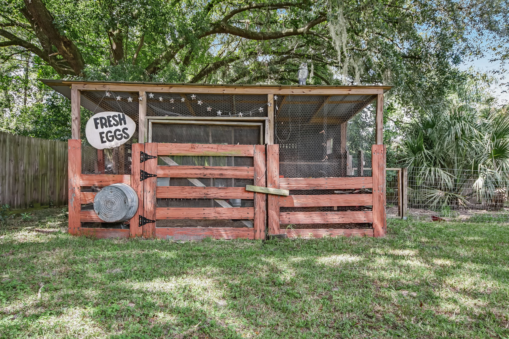 Chicken Coop