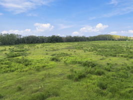 DJI_0092