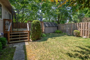  Photo 24