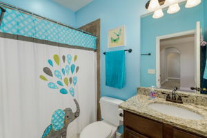  Photo 44