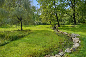 DSC00021.jpg
