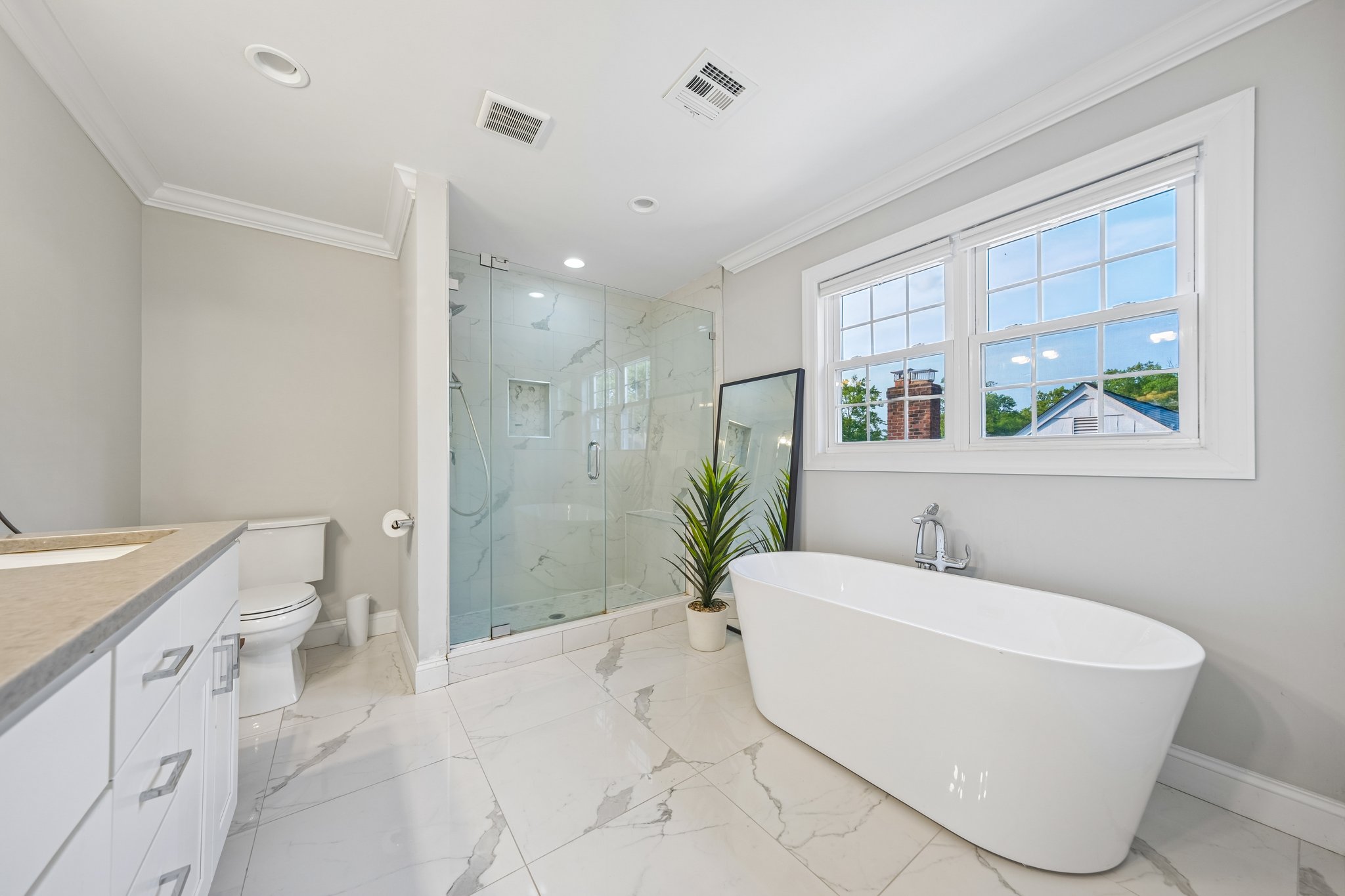 Soaking Tub and Shower Stall
