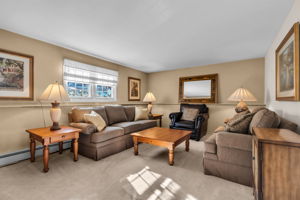 Lower level - Family Room