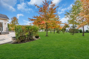  Photo 51