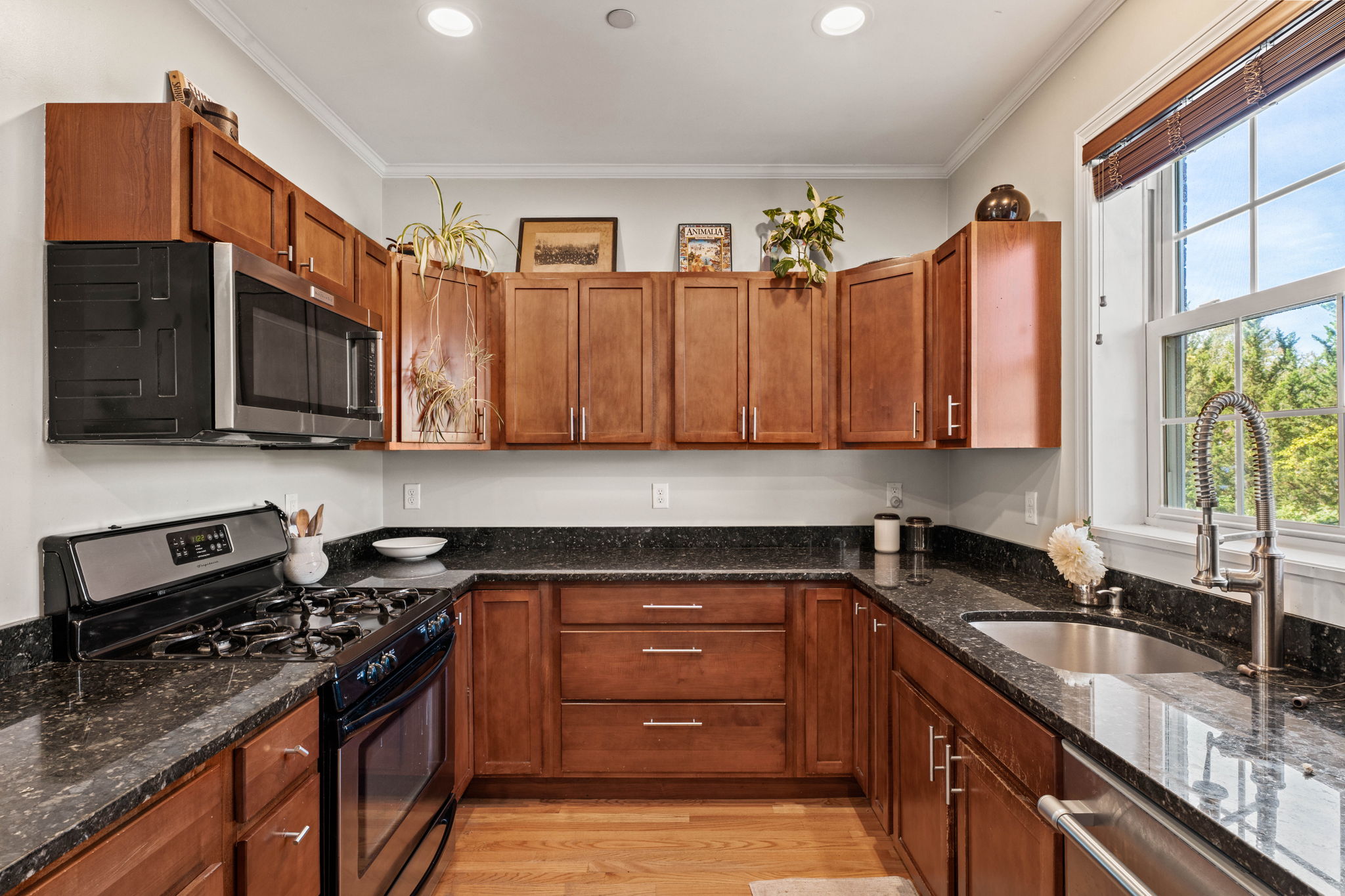9 Falkland Pl unit a2, Portsmouth, NH 03801, USA Photo 14