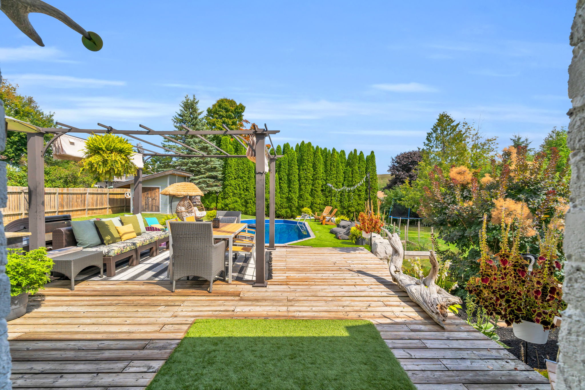 Backyard