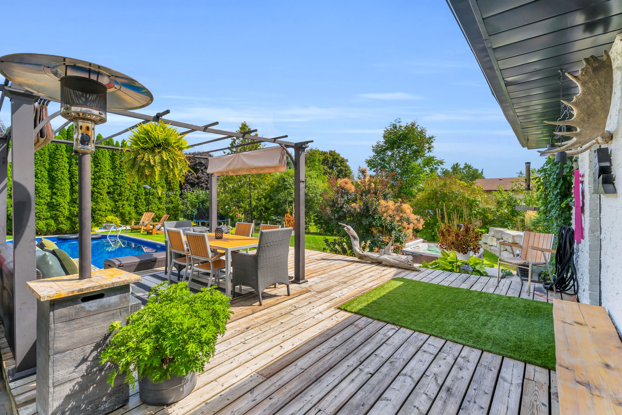 Backyard
