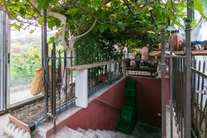  Photo 36