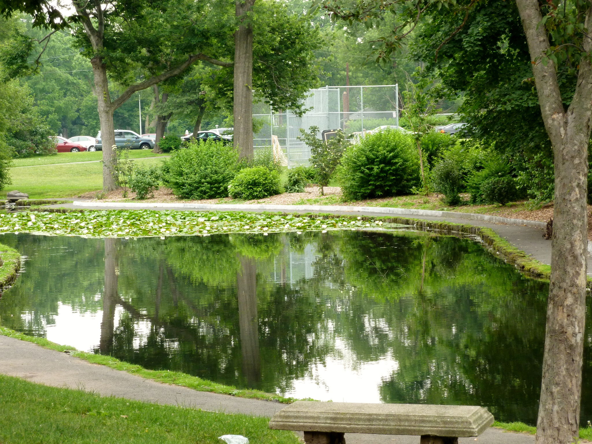  Photo 45