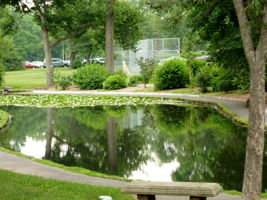  Photo 44