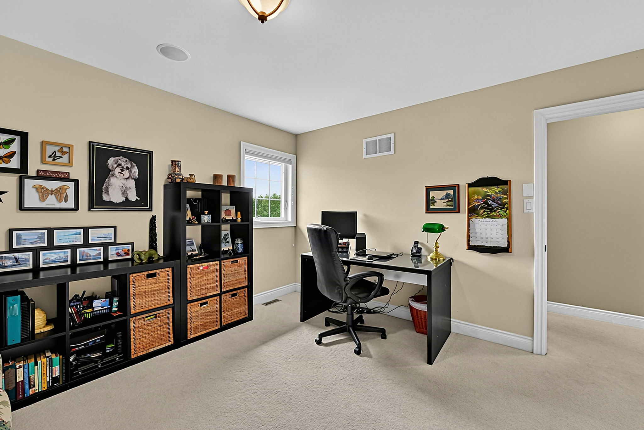  Photo 47