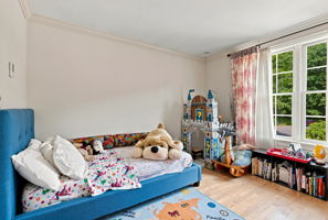  Photo 45