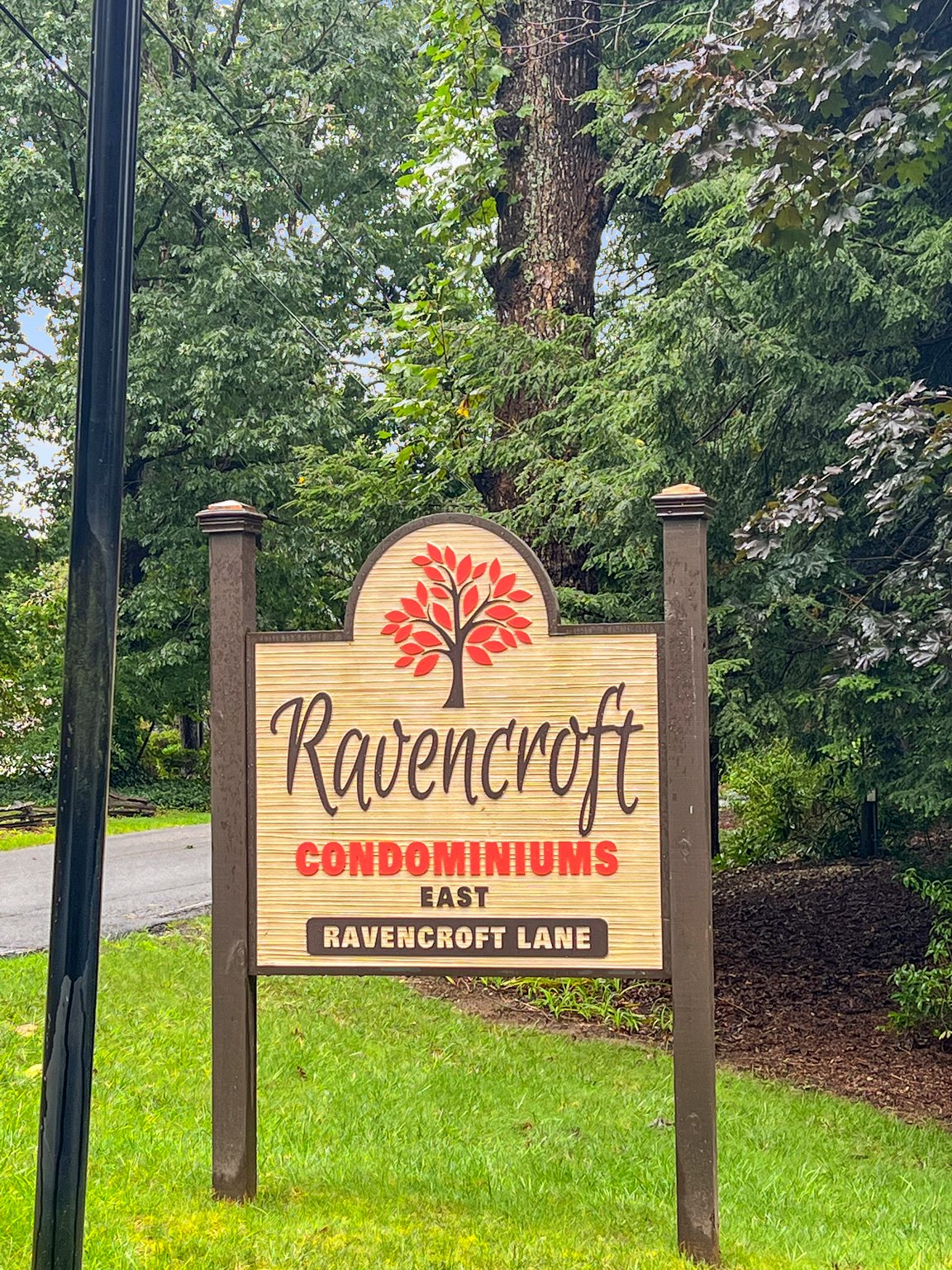 9 Ravencroft Ln, Asheville, NC 28803, USA Photo 27