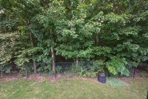 Photo 39
