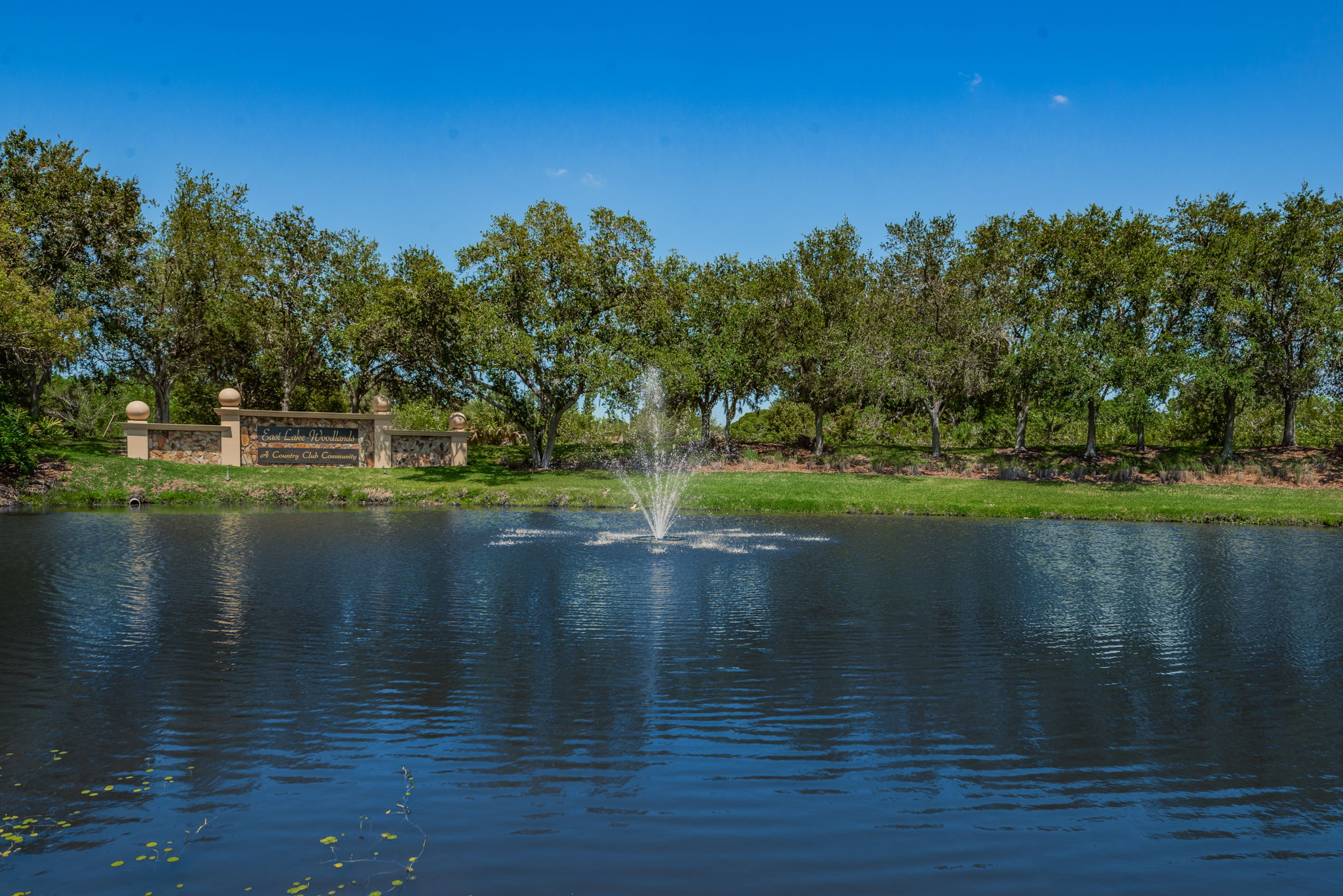 4-East Lake Woodlands Gated Entry4