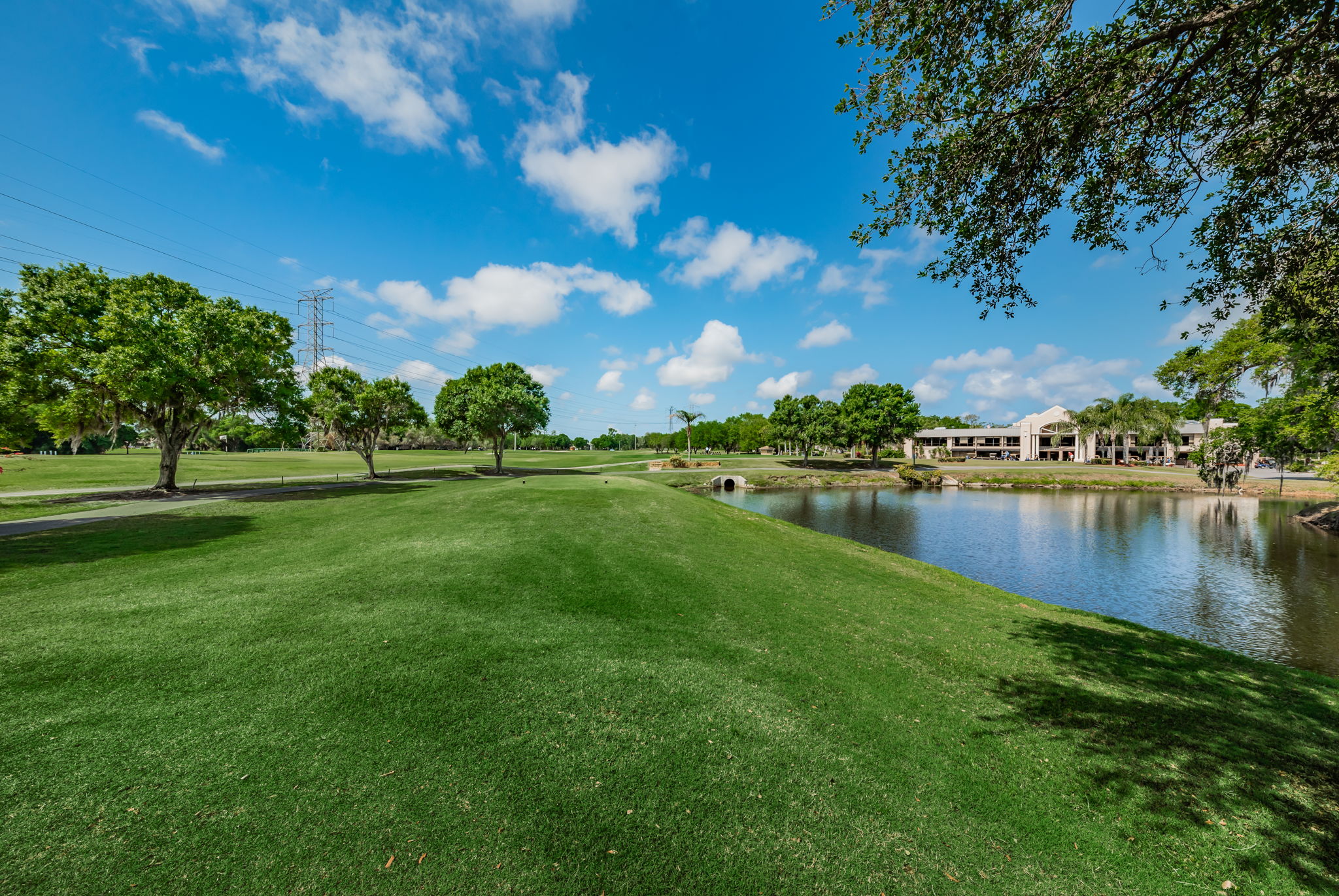 39-East Lake Woodlands28