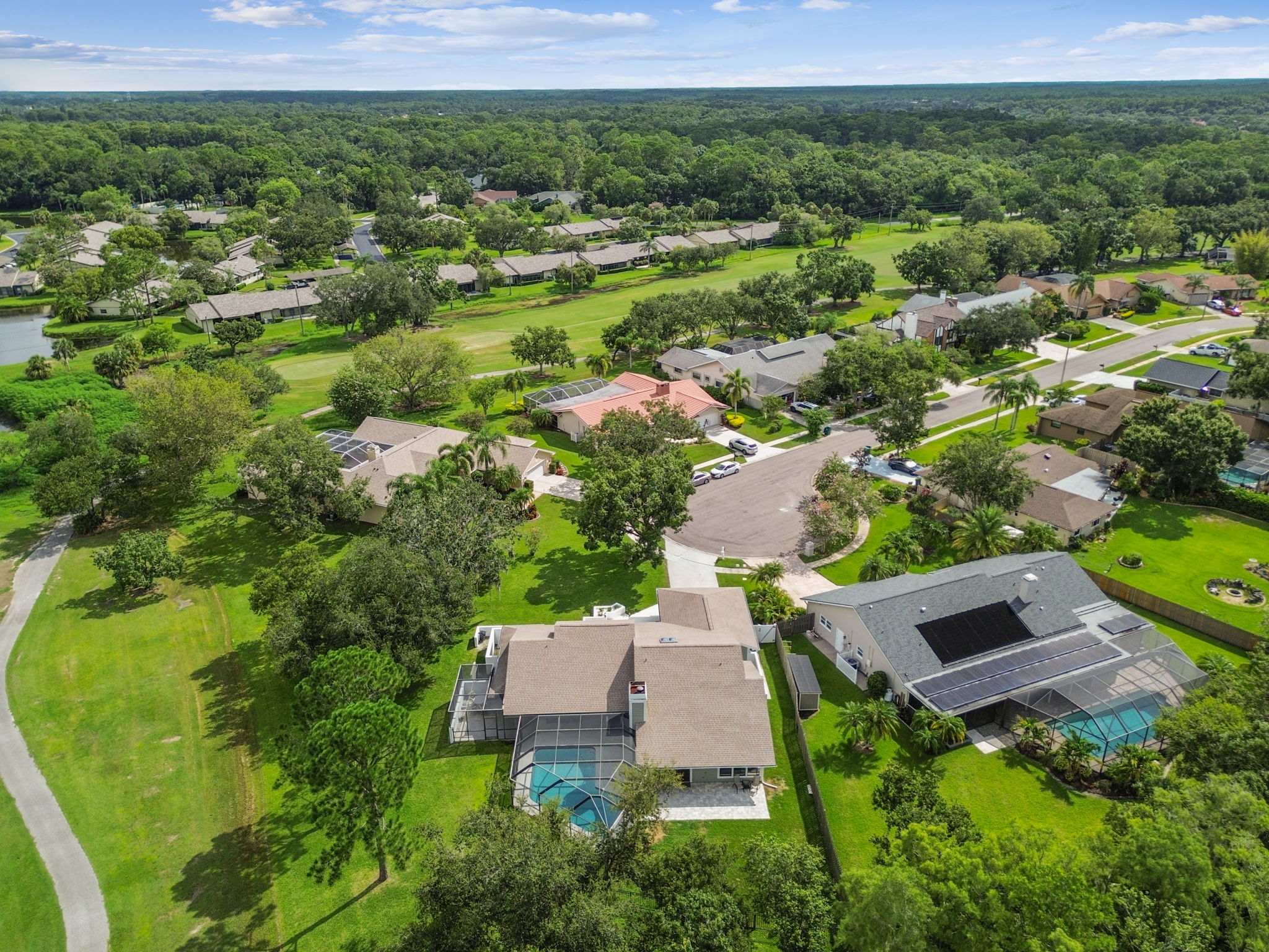 DJI_0604