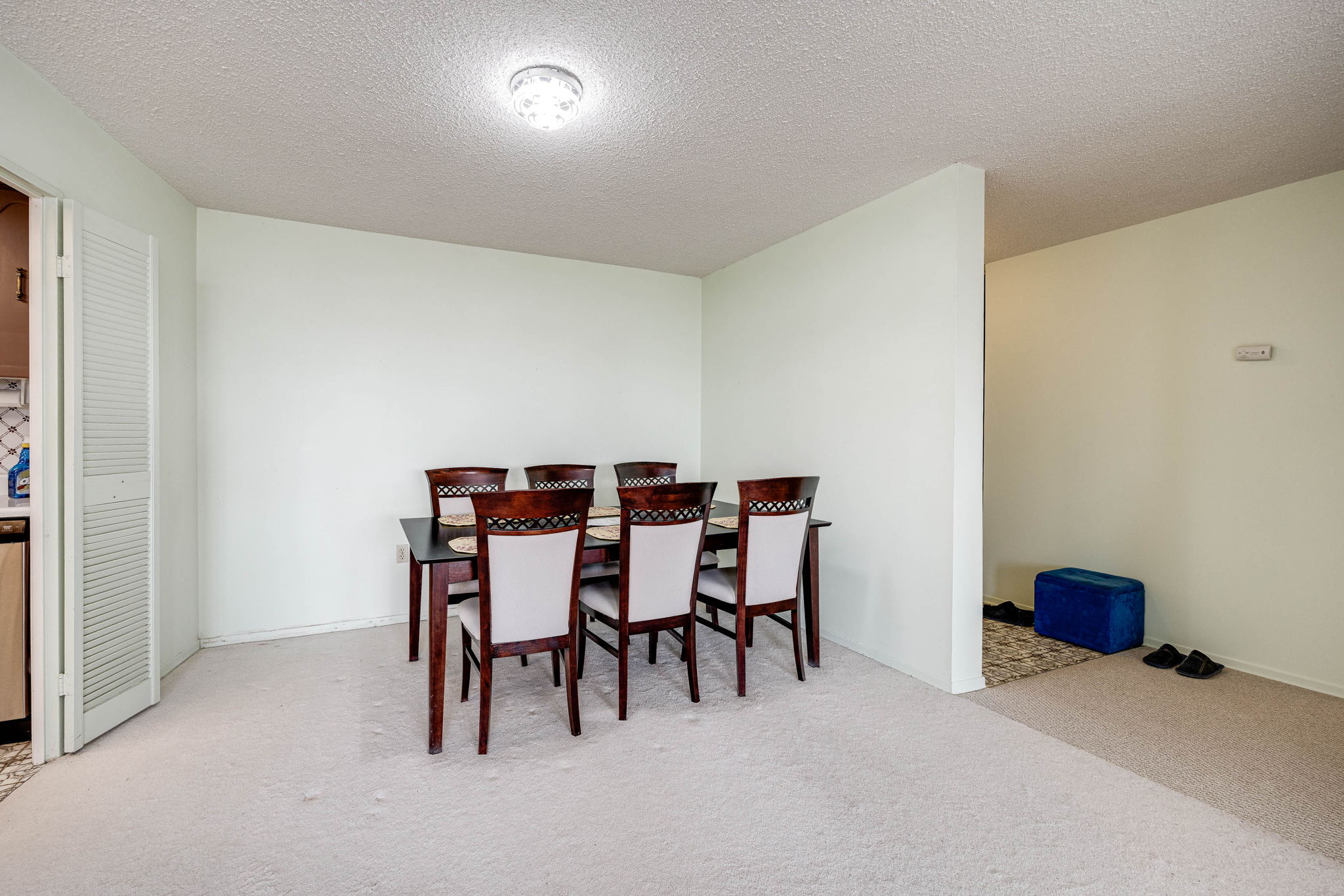 Toronto property showcase — delivered property photograph 13