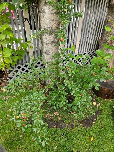 508dc0fa-8c87-4d98-940c-7236d22f7ebd