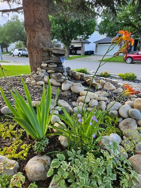 5921d361-a70e-42a4-8a31-a578b2046efd