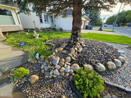 18be76cb-7ebe-47a4-a848-2f104e6d5365