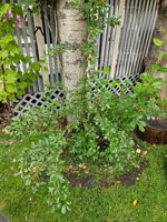 508dc0fa-8c87-4d98-940c-7236d22f7ebd