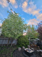 17713033-b52e-4cb6-80f8-dbd07123d25a