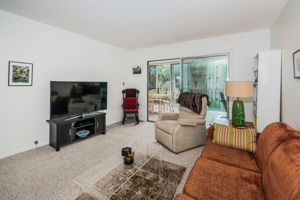 Living Room2-3