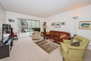 Living Room1-3