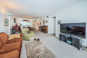 Living Room3-3