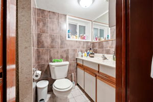 Lower Level - Bathroom