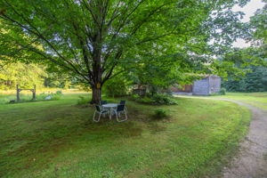  Photo 47