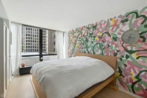 900 N Lake Shore Dr 410_011