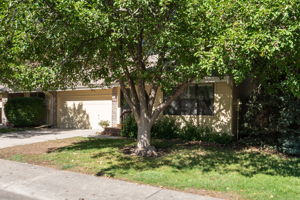  Photo 0