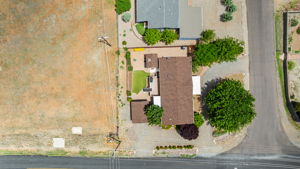 Birds Eye
