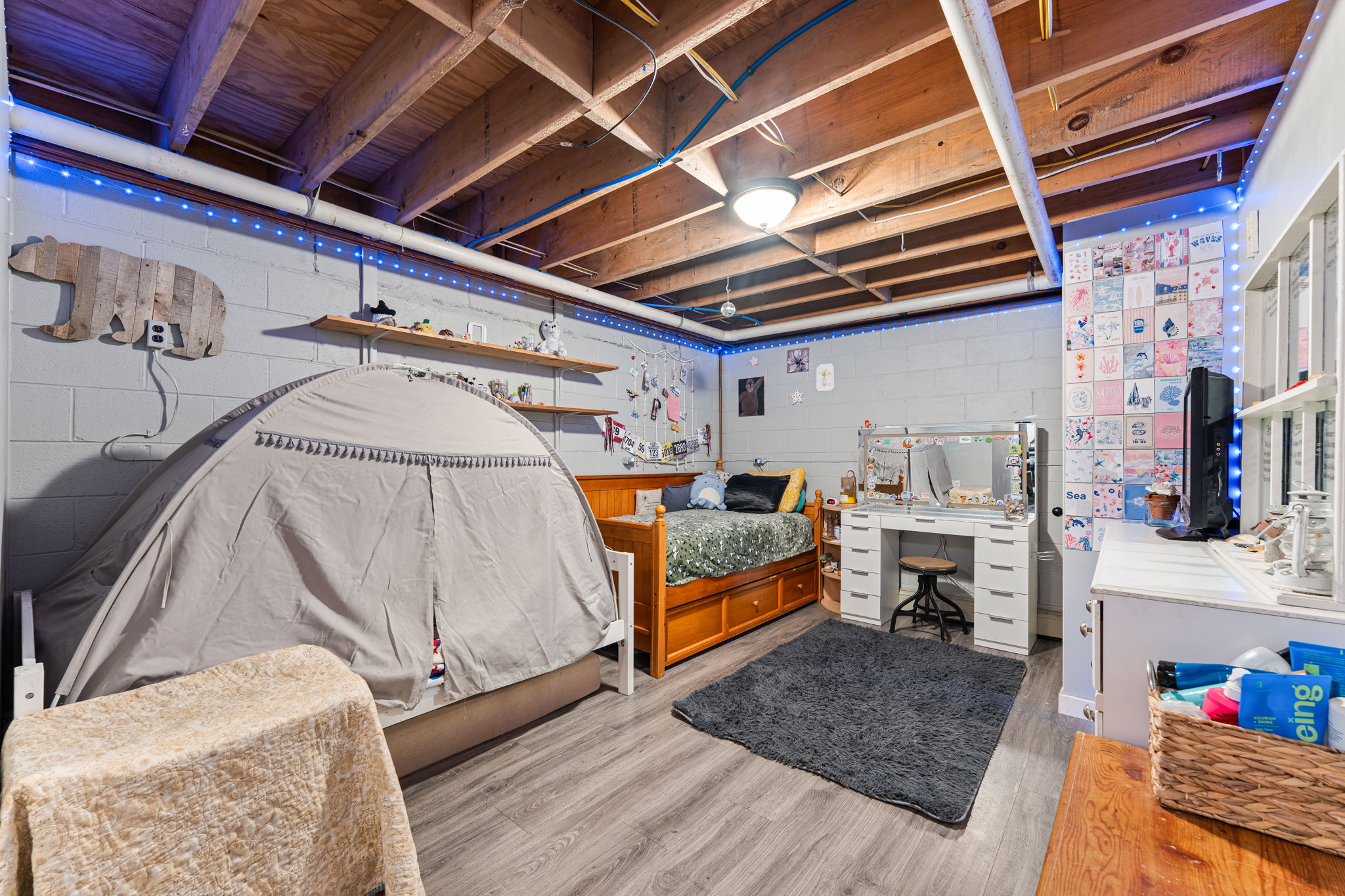 Bonus Room in Basement