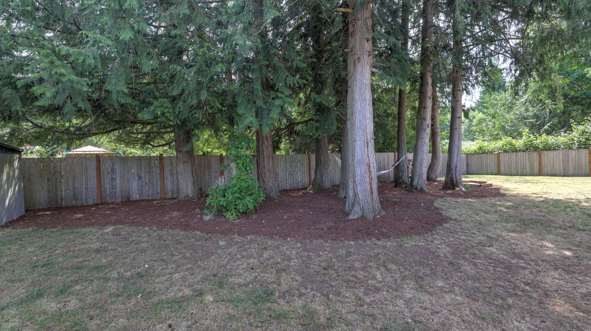  Photo 37