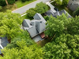 wooded privacy